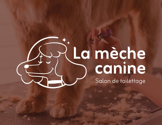 Qu'est-ce qu'une identité visuelle - La mèche canine - Amy blog graphique