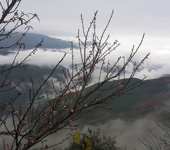 Sa Pa Vietnam self-guided travel tips