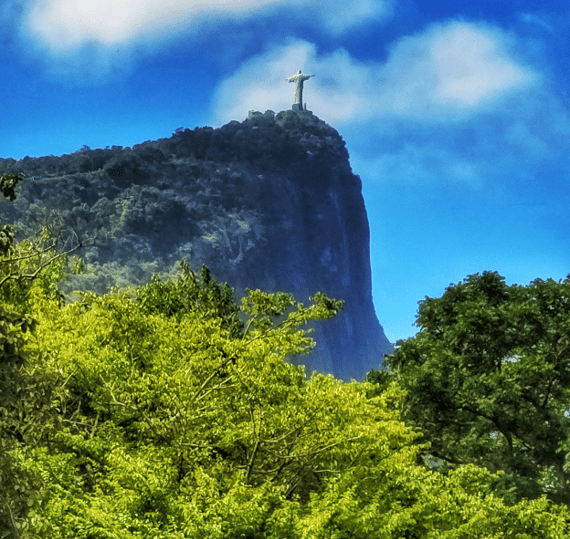 Jardin-Botanique-Rio-de-Janeiro