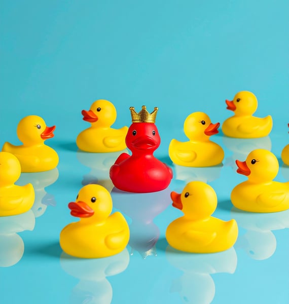 image se démarquer_canard rouge parmi canards jaunes
