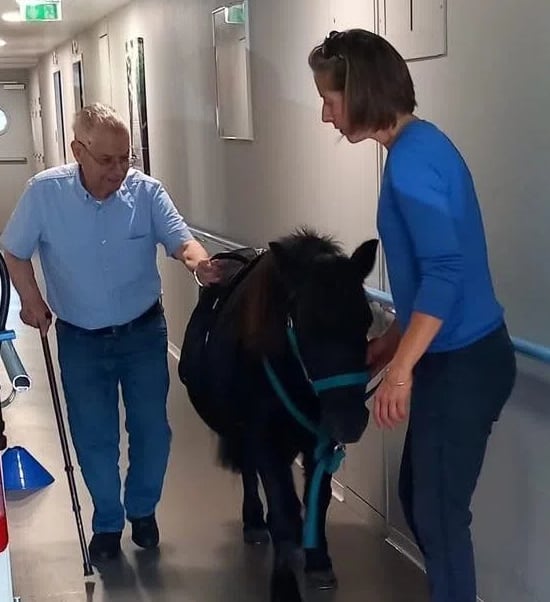 Cheval dans un Ephad avec homme âgé