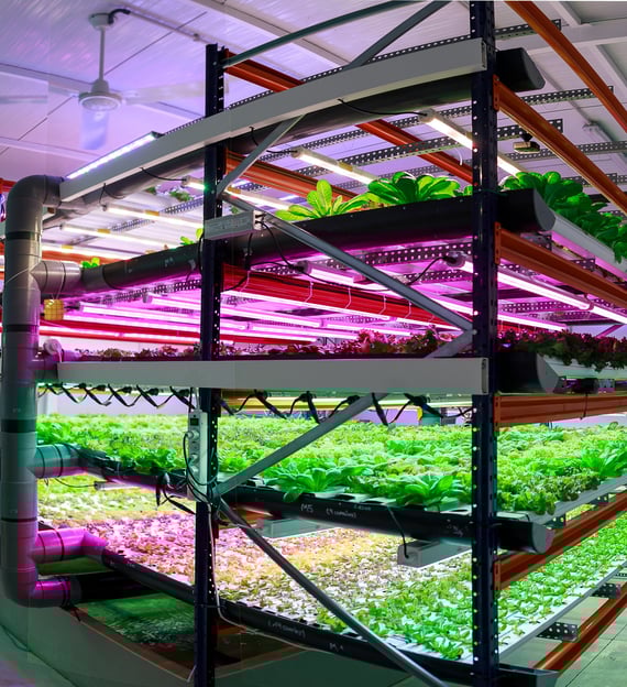Edenly vertical farming