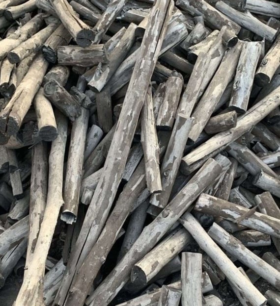Earthange Vietnam Mangrove charcoal supplier