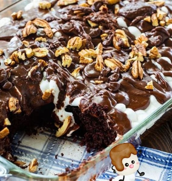 Mississippi Mud Cake