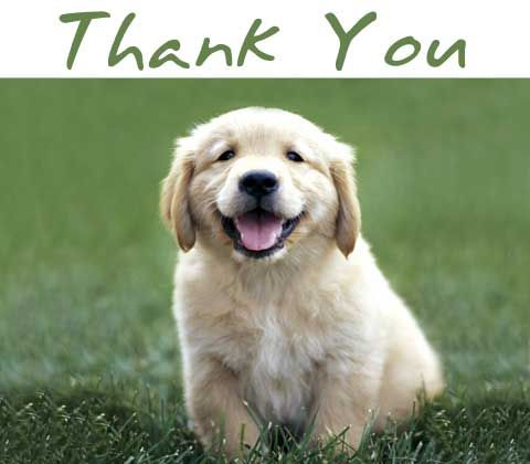 Thank you