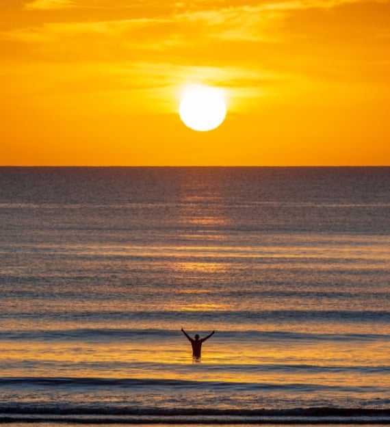 a person standing on a beach with a bird flying in the air