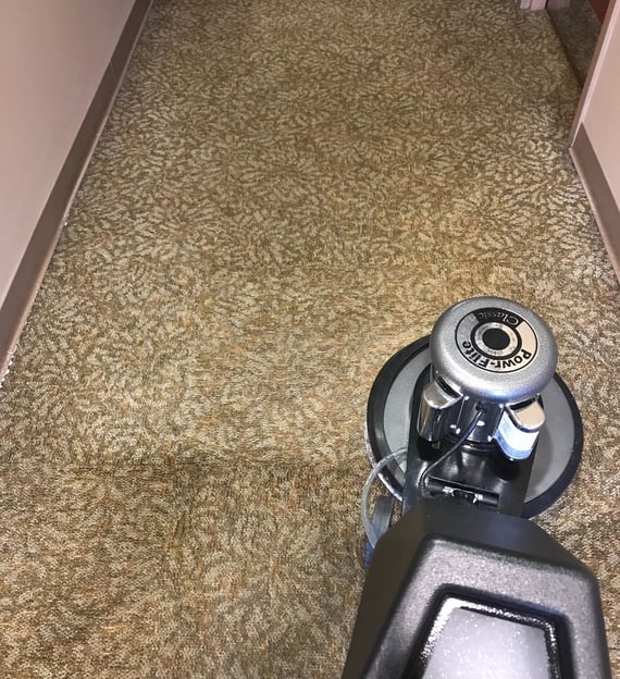 Commercial Carpet Cleaning in Ormond Beach, Florida
