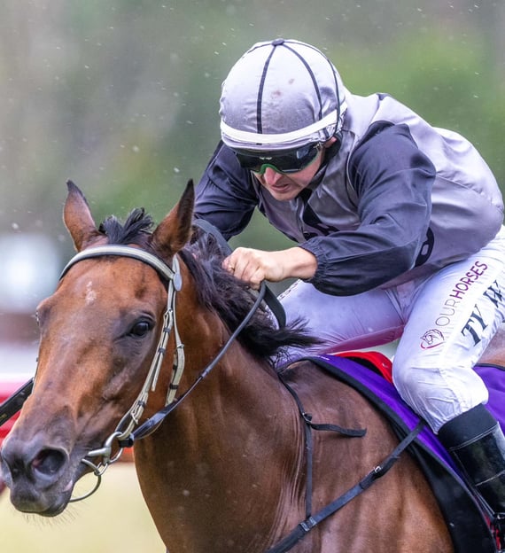 Jockey rides a racehorse at Nanango