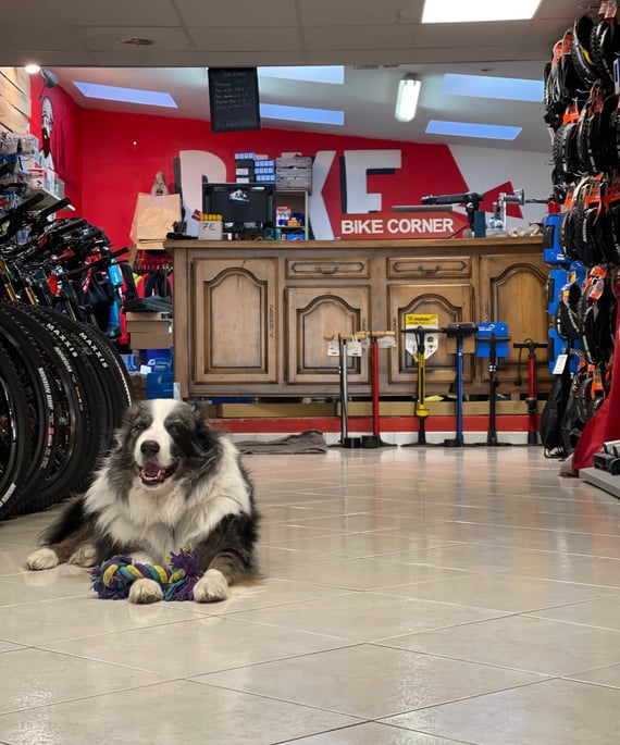 Image de l'interieur du magasin avec une bonne visibilité sur les vélos Lapierre et les pneus maxxis