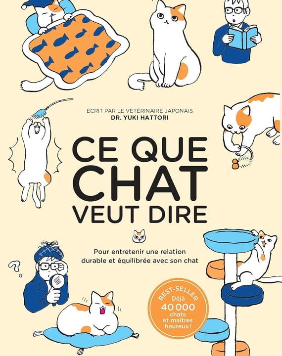 Ce que chat veut dire: Pour entretenir une relation durable et équilibrée avec son chat 