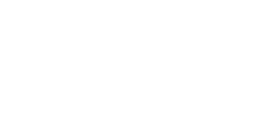 BOTerfly logo