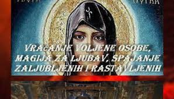 VIDOVITA SNEZANA SNJEZA logo