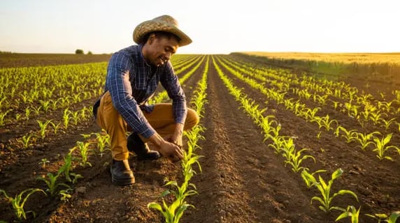 intérim agriculture