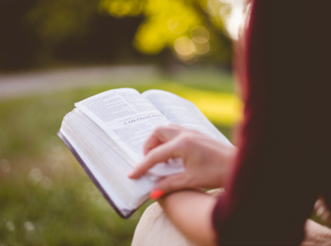 Woman reading bible in garden. Tagline-real life, rooted in Christ. One faithful moment at a time.