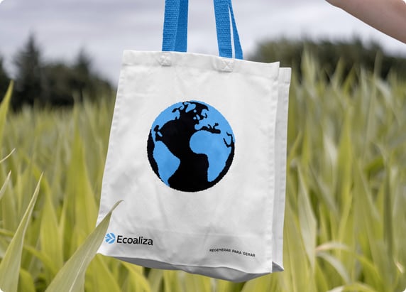 Ecoaliza Identidade visual