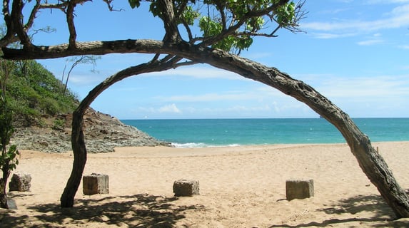tillet voyage france guadeloupe