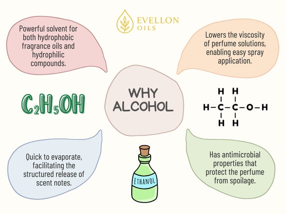 Infographic explaining why alcohol is used in perfume, with benefits and Evellon Oils branding.