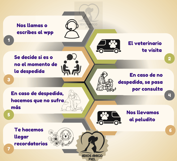 CREMACION MASCOTAS
