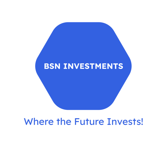 BSN Investments logo