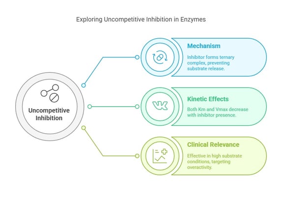 exploring uncompetitive inhibitors in enzymes