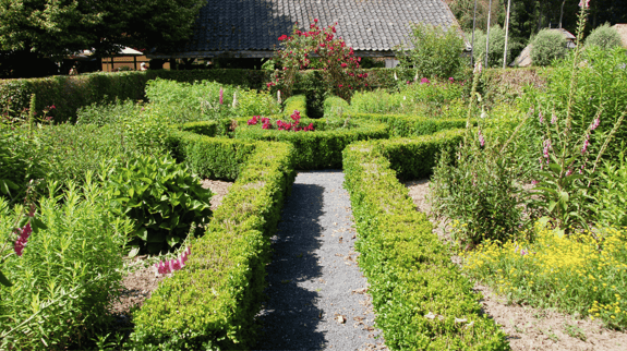 Boxwood hedges forming geometric patterns with gravel pathways and a central focal point