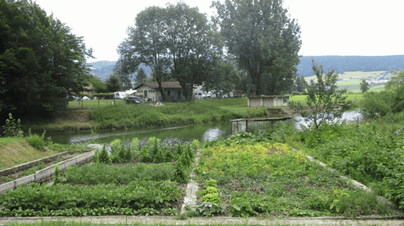 Geometric gardening uses precise shapes like squares, rectangles, circles, and triangles.