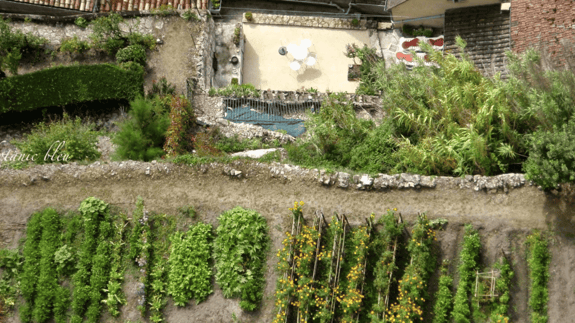 Aerial view of a real life French potager