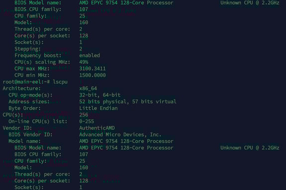 amd epyc 9754 lscpu output
