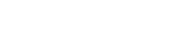 Spencer Flay logo