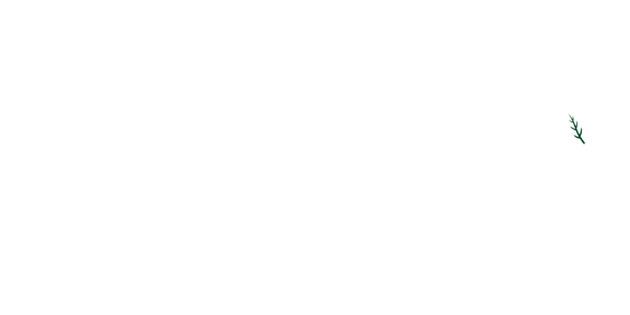 Vert & Vernis logo