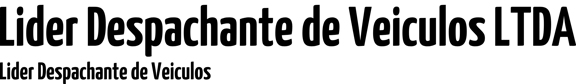 Lider Despachante de Veiculos logo