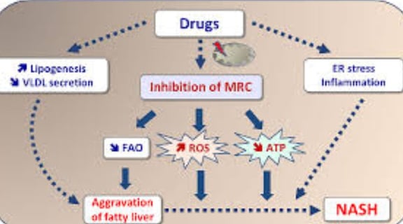 fatty liver disease hepatotoxic medicat