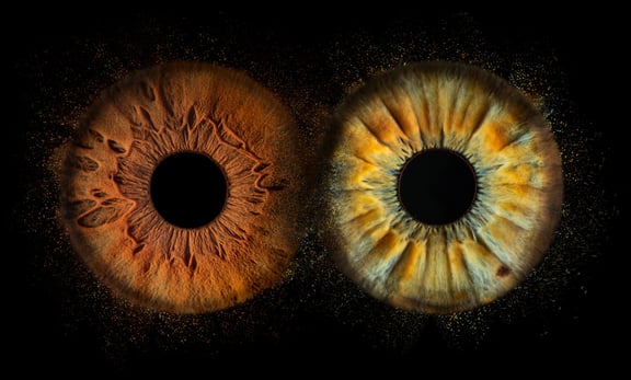 iris foto für Paare, Pärchen, , Auge, Macroaufnahme,