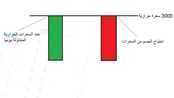 احتياج الجسم من السعرات