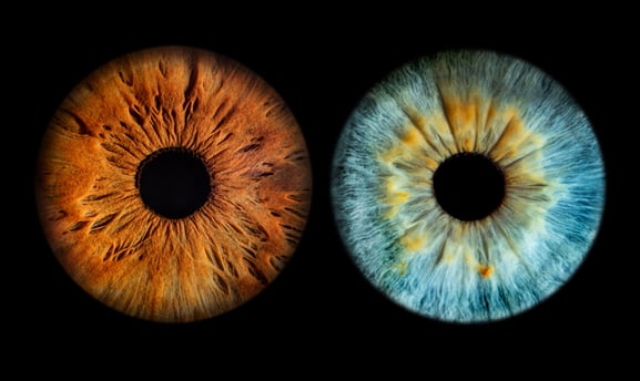 iris foto für Paare, Pärchen, , Auge, Macroaufnahme, Geschenk