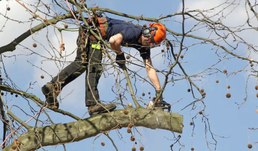 a man in a helmet is using a chainsawl to cut down a tree