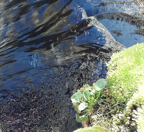 l'eau symbole de la vie en mouvement.