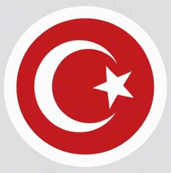 Made In Turkey logo