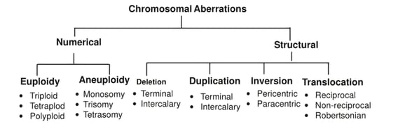 chromosomal aberrations