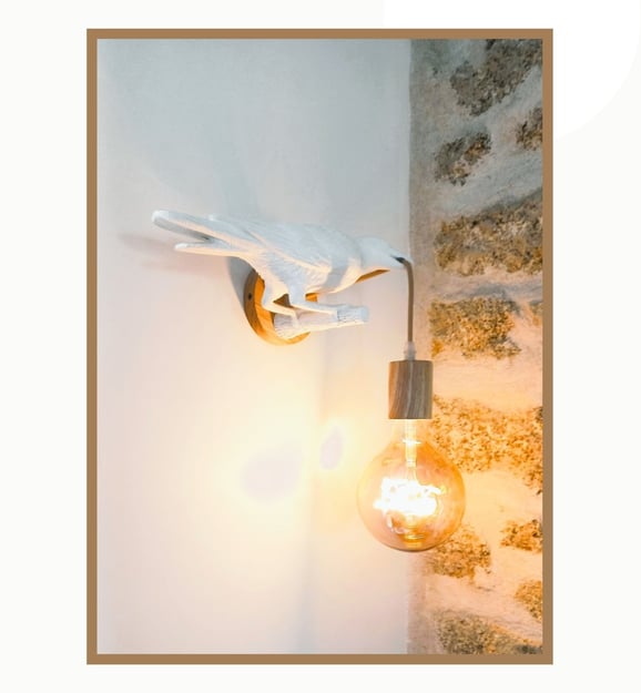 diy lampe applique oiseau blanc tenant ampoule bec