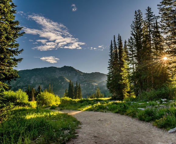 a dirt path leading to a mountain with trees and mountains in the background