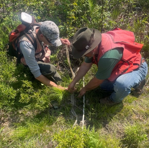 Conservation Assistance | Flycatcher LLC