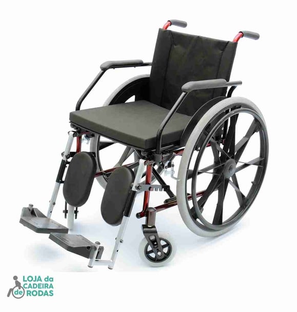 Cadeira de Rodas com Apoio de Panturrilha - Pernas Eleváveis - Flex Prolife