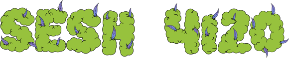 Sesh4i20 logo