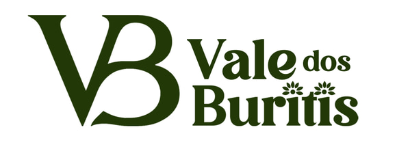 Vale dos Buritis logo
