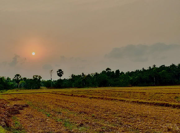 Paddy field just tilled at Thenkanidiyuru, Udupi, Karnataka