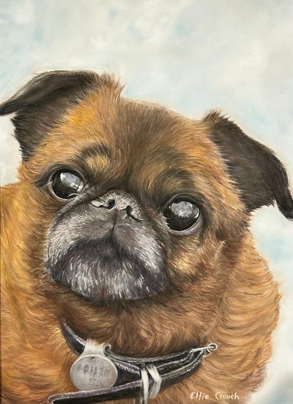 Commissioned portrait of a Pug Dog