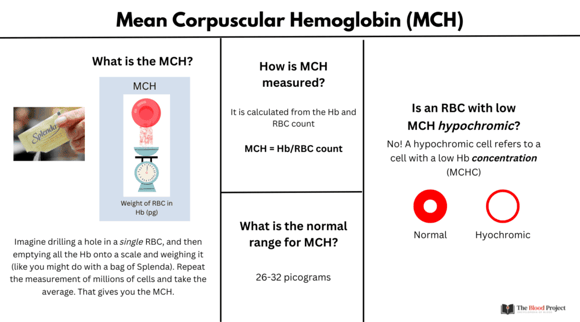 MCV, MCH ve MCHC testleri, kırmızı kan hücrelerinin boyutu, hemoglobin içeriği ve konsantrasyonunu ölçen kan tahlilleridir.
