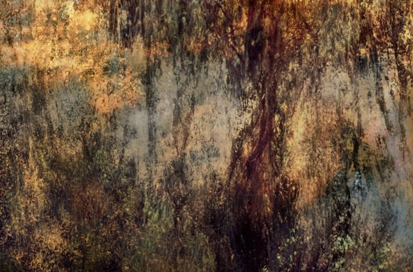 ethereal landscape photography by Martin Osner, abstract forest impression with warm textured colours and layered exposures.