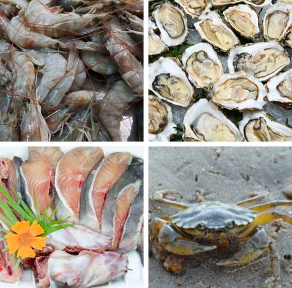 raw seafood